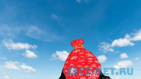 Модель HE гранаты «Christmas Bag Grenade» для CS 1.6