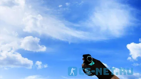 Пак гранат «Череп» для CS 1.6 (слеповая)