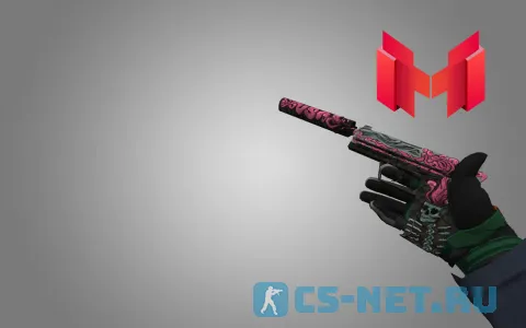 Пак моделей оружия «Marmok Inventory» для CS 1.6 (USP)