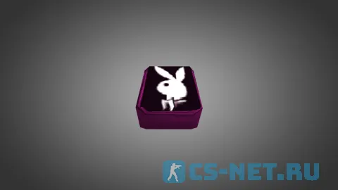 Модель «Playboy Backpack» для CS 1.6 (скрин 3)