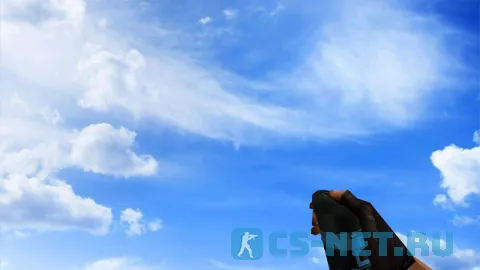 Пак гранат «Дезодорант Axe» для CS 1.6 (слеповая)
